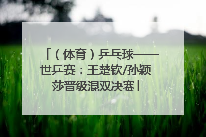 （体育）乒乓球——世乒赛：王楚钦/孙颖莎晋级混双决赛